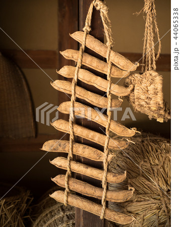 吊るして干したナタマメ 44065338