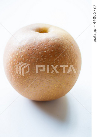 梨 44065737