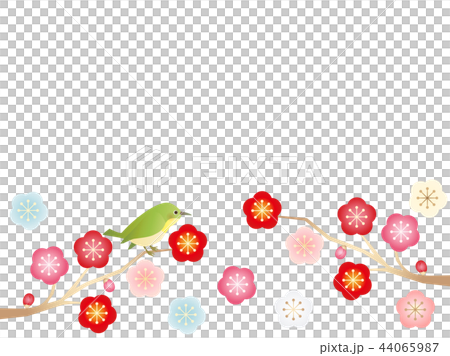 Plum 13 plum and bird 44065987