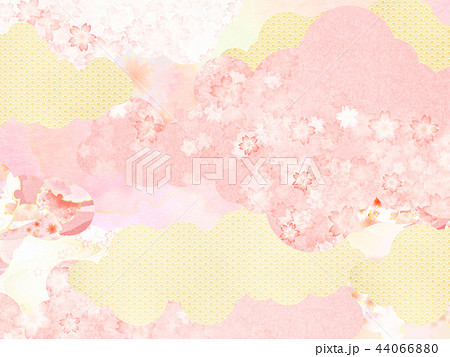 和 背景 和紙 春 桜 ピンクのイラスト素材