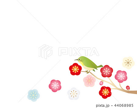 美しい花の画像 綺麗なかわいい うぐいす 梅 イラスト