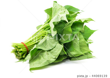 Bunch of sweet potatos leaves 44069139