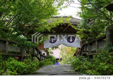 相模 常泉寺  44070379
