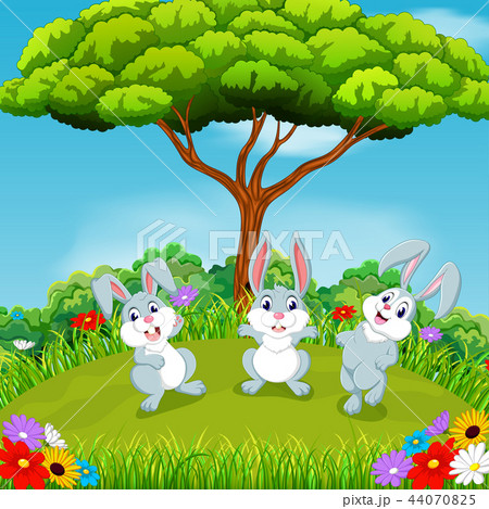 the beautiful view with three rabbits playing  44070825