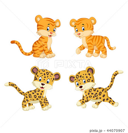 the collection of the tiger and leopard 44070907