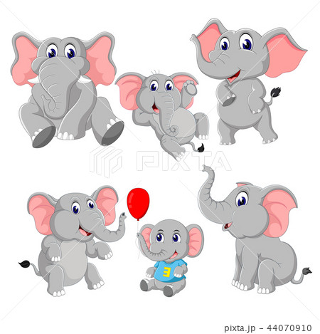 the collection of the elephant and baby elephant 44070910