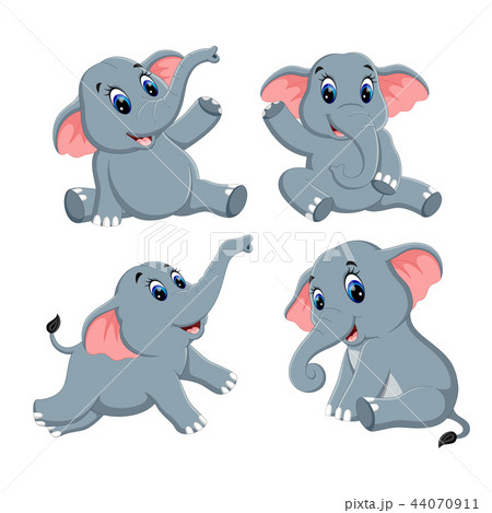 the collection of the cute elephant the collection of the cute elephant 44070911