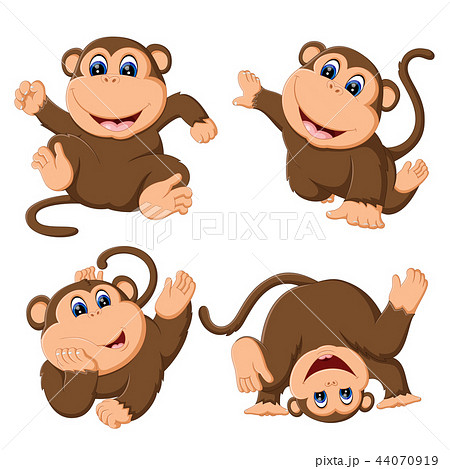 the collection of the baby monkey the collection of the baby monkey 44070919