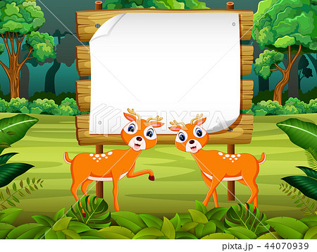 the wooden board blank space with two cute dear  44070939
