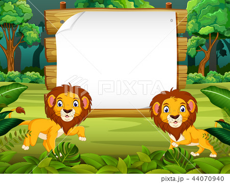 the nature view with the wooden board blank space  44070940