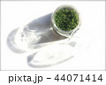 ガラス容器に植えた苔 44071414