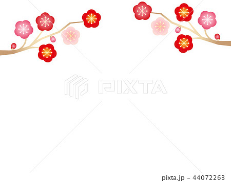 梅15 44072263