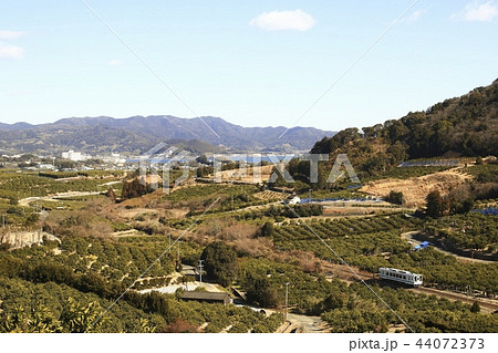 みかん畑を行く天竜浜名湖鉄道 44072373