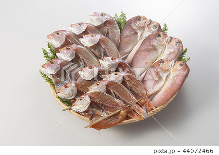 鯛 甘鯛の干物 鯛 甘鯛の干物 44072466