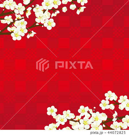 梅の花 背景イラストのイラスト素材 44072825 Pixta