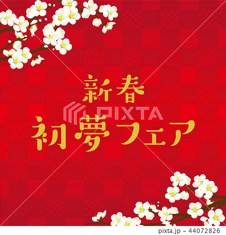 梅の花　イラスト 44072826