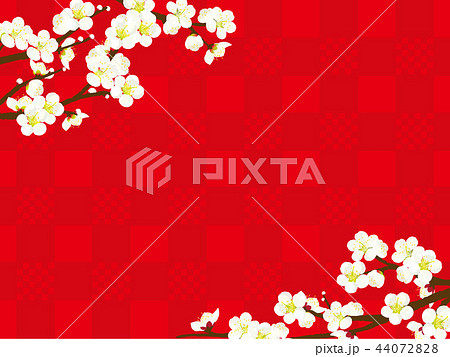 梅の花 背景イラストのイラスト素材