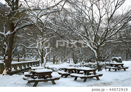 雪景色 冬 画像 44072919