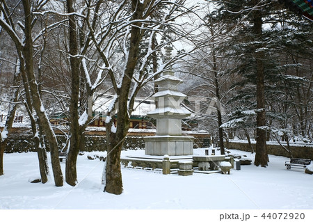 雪景色 冬 画像 44072920