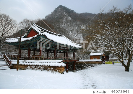 雪景色 冬 内蔵寺 44072942