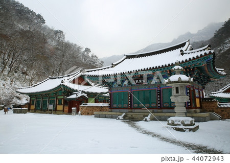 雪景色 冬 画像 44072943