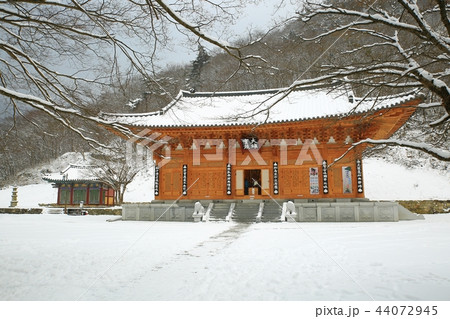 雪景色 冬 画像 44072945