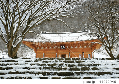 雪景色 冬 韓国 44072946