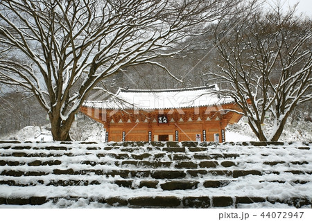 雪景色 冬 画像 44072947