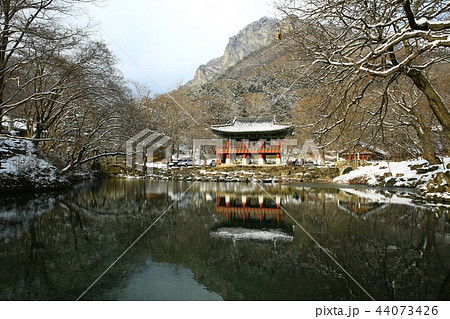 雪景色 韓国 白羊寺 44073426