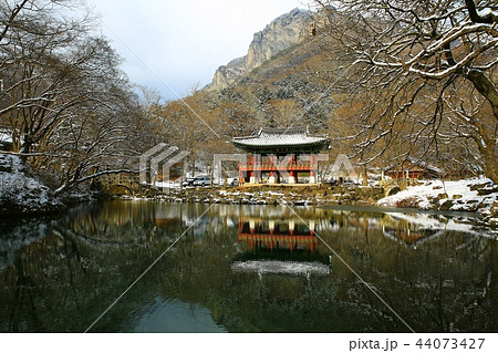 雪景色 冬 韓国 44073427