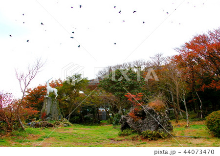 自然 きれい 背景 44073470