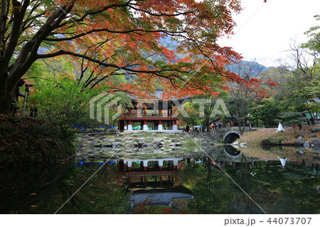 紅葉 秋 自然 44073707
