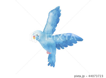青い鳥 水彩イラストのイラスト素材