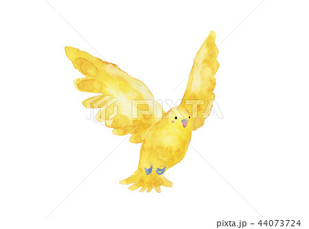 黄色い小鳥 水彩イラストのイラスト素材