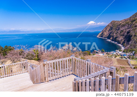 （静岡県）西伊豆井田　煌めきの丘から海越しの富士山 44075139