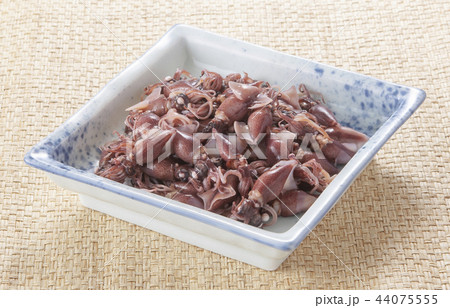 釜揚げホタルイカ 釜揚げホタルイカ 44075555