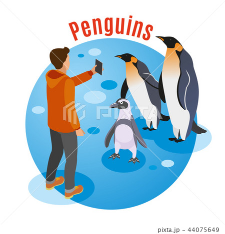 Photo With Penguins Background 44075649