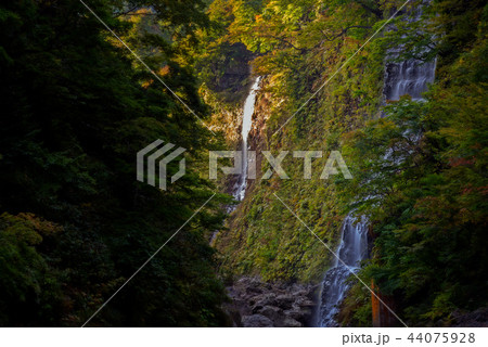 小安峡の滝 44075928