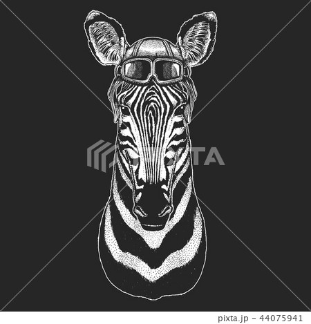 Zebra, horse wearing aviator hat. Print for children clothes, tee, t-shirt. Pilot wild animal 44075941