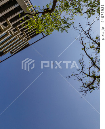 Drone flying in the sky. 44075981