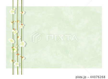 白梅の和風背景 グリーン 44076268