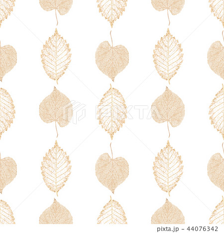 Transparent gold skeleton leaves seamless pattern Transparent gold skeleton leaves seamless pattern 44076342
