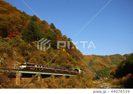 紅葉と高山線特急ワイドビューひだ号 紅葉と高山線特急ワイドビューひだ号 44076539