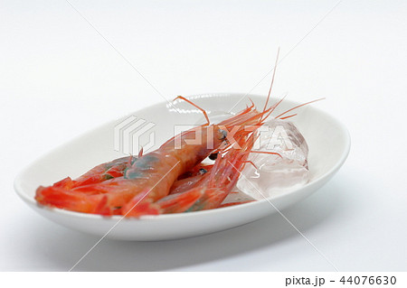 家庭的で素朴な刺し身用の「子持ち甘海老」 44076630