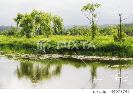 Gyeongpo Wetlands Park 44078740