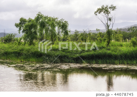 Gyeongpo Wetlands Park 44078745