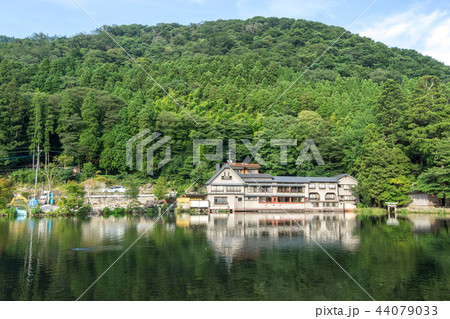 kinrin lake afternoon reflections kinrin lake afternoon reflections 44079033