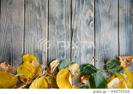 fallen yellow leaves wooden background autumn 44079508