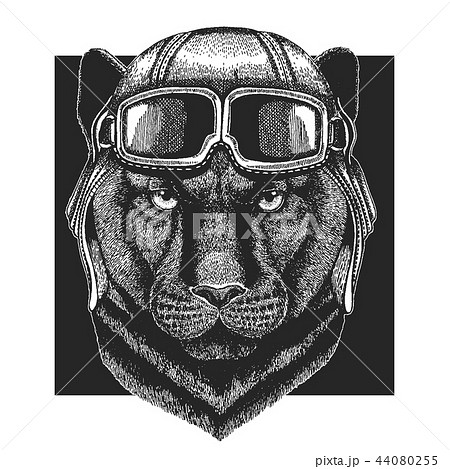 Panther, Puma, Cougar, Wild cat wearing aviator hat. Print for children clothes, tee, t-shirt. Pilot 44080255