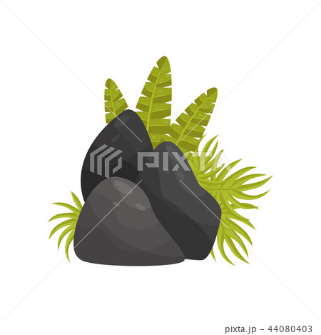 Black stones and tropical plants, element of tropical jungle landscape vector Illustration on a 44080403
